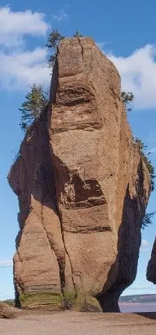 Hopewell Rocks Won't Rename Former Elephant Rock Anytime Soon