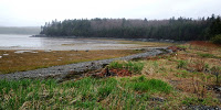 New Nature Preserve On Saint John's West Side