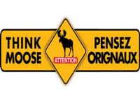 Moose Warning from City Police