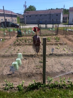 Community Garden Celebrates Milestone