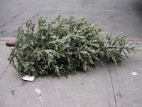 Drop Off Your Tree Until January 12th