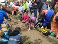 Marigolds A Success, But North End Needs More