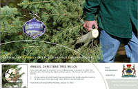 Quispam Offers Tree Mulching Into January