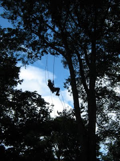 Tree Climbers