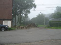 Bones Found in the North End