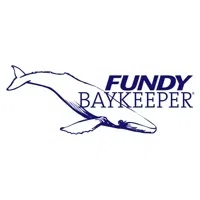 Baykeeper Expressing Concerns For Whales