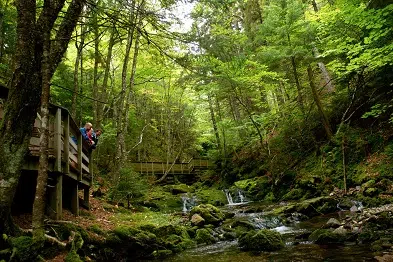  Hiker Rescued From Fundy Trail Parkway