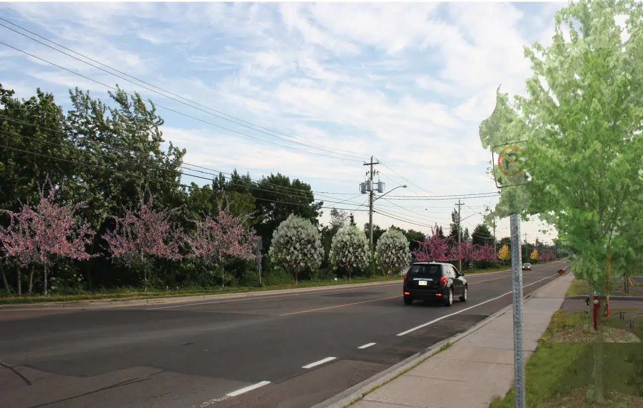 Hildegard Beautification Project Underway