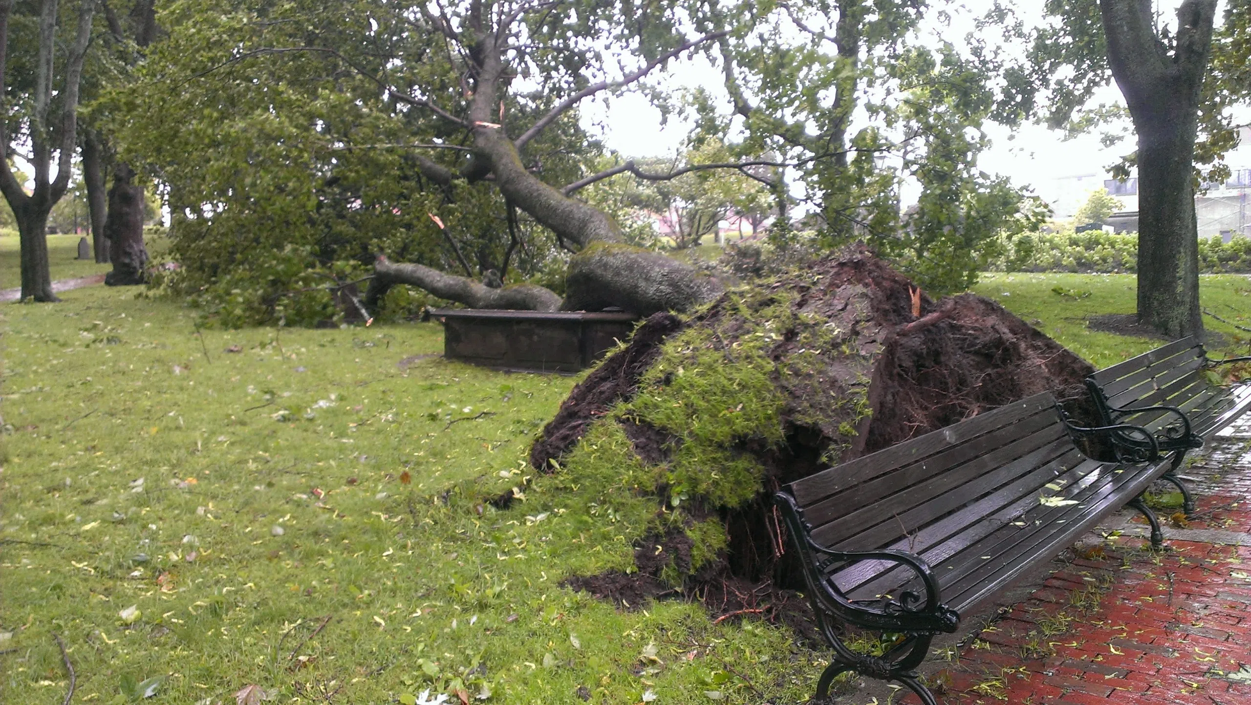 WATCH: Hurricane Arthur Hammers Saint John