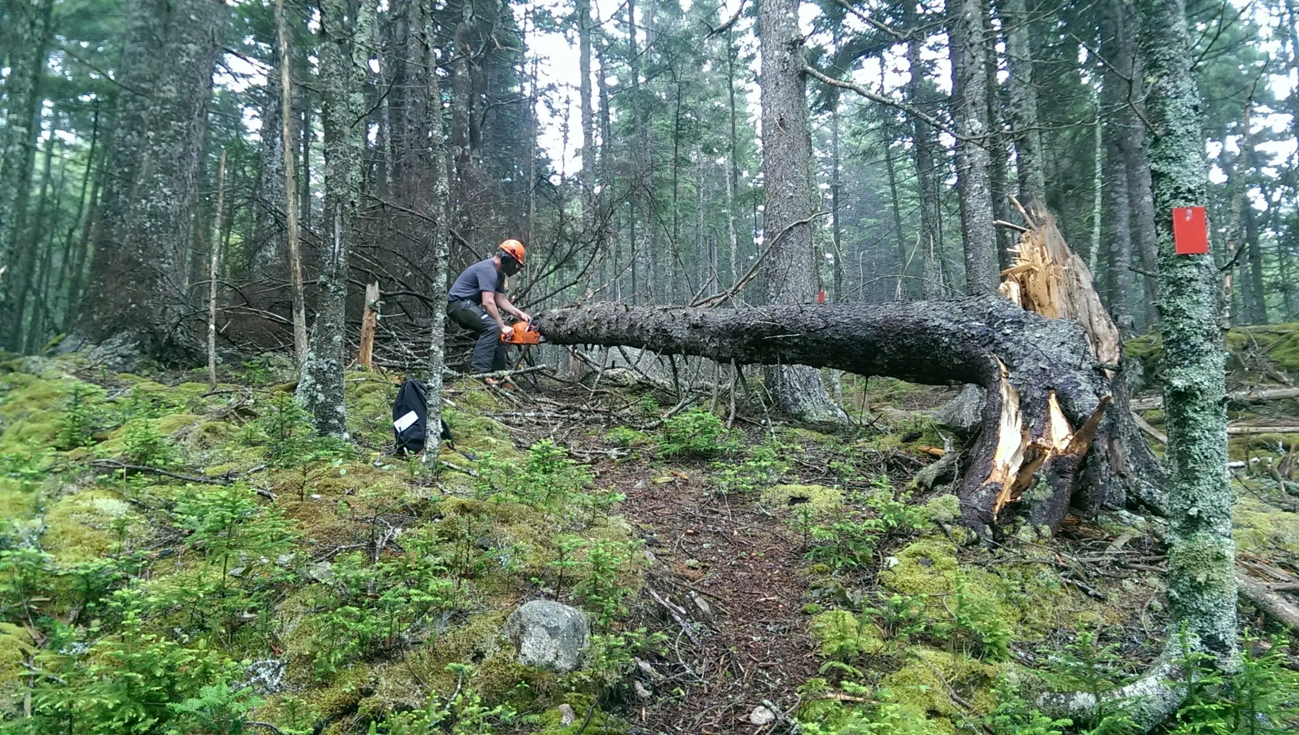 Volunteers Will Be Fixing Up and Cleaning Up Two Trails Tomorrow