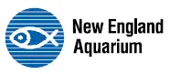 New England Aquarium Expanding Survey Of Right Whales This Year