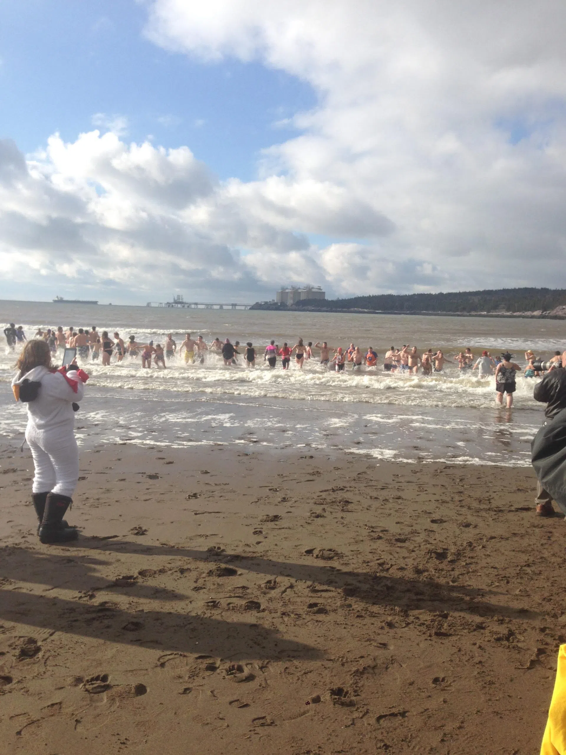 The Polar Bear Dip