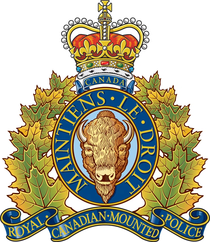 Teen Dies In Grand Manan Crash