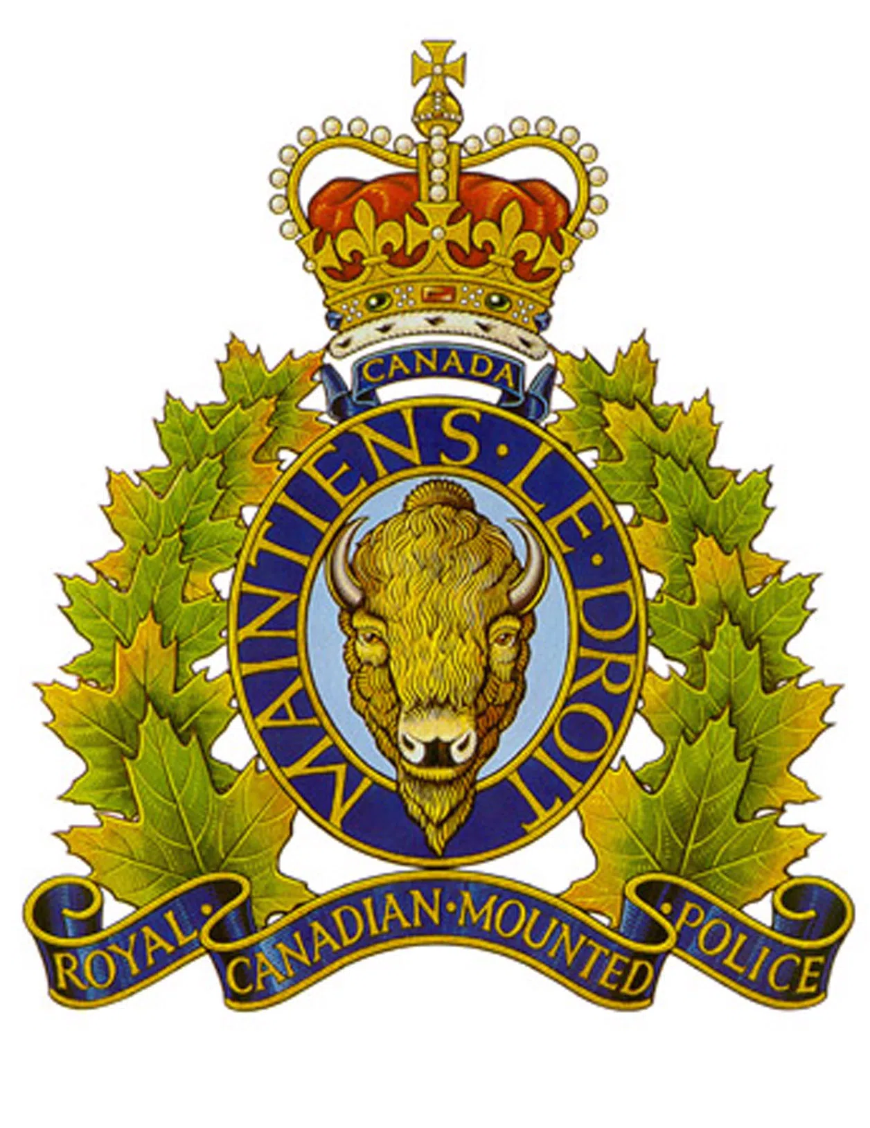 Suspensions For Four Woodstock Area Mounties