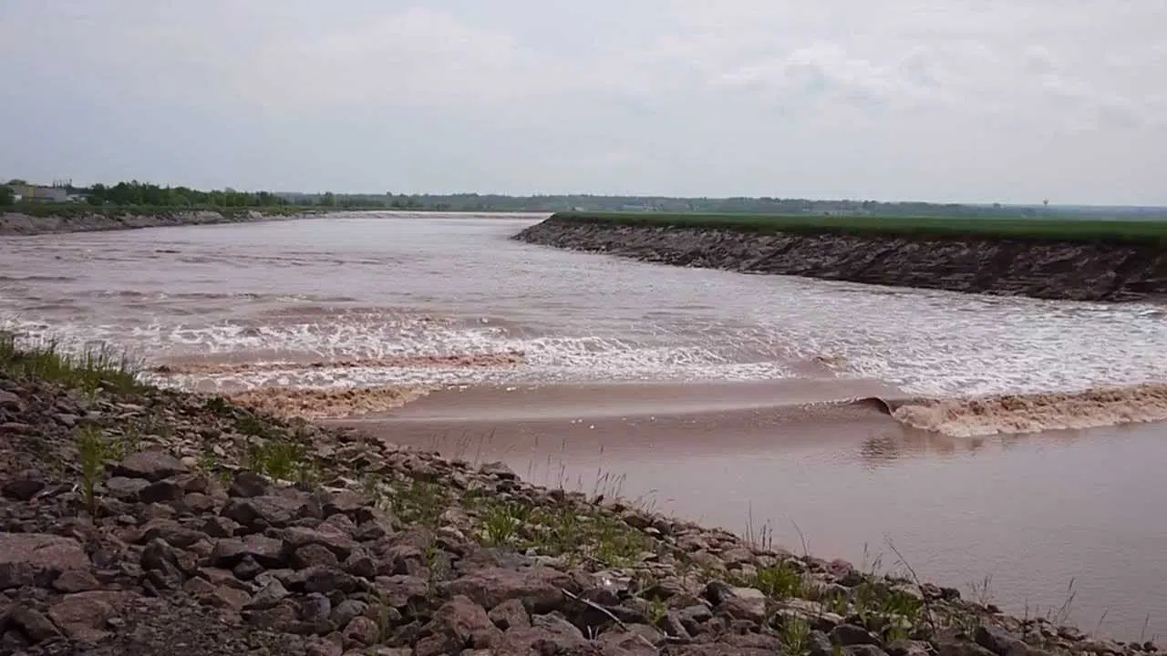 Mannequin Goes Under In Petitcodiac River