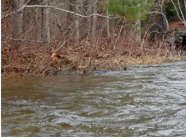 The Province Has Good Water Quality According To Report