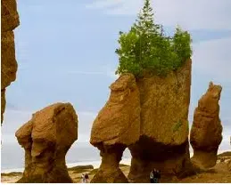 Hopewell Rocks Officially Open For The Season