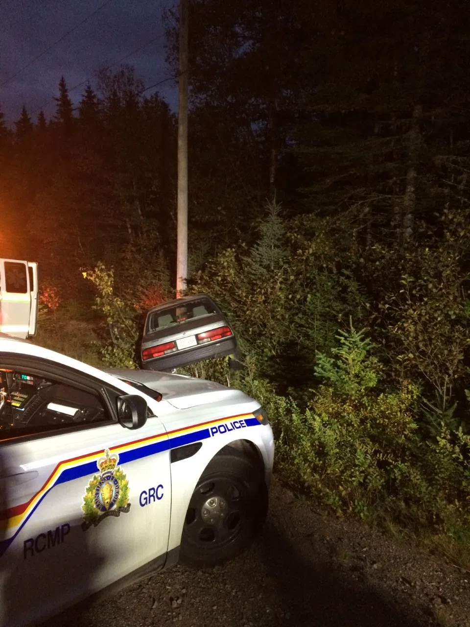 Vehicle Swerves To Avoid Moose, Hits Telephone Pole In Musquash