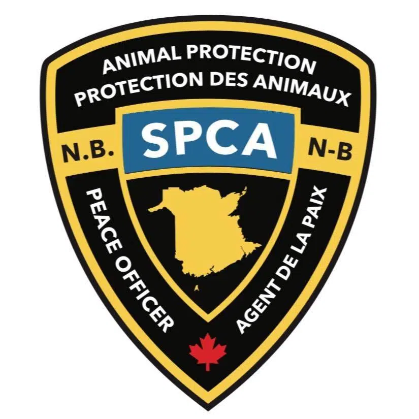 SPCA Seizes 61 Dogs In Northeastern N.B.