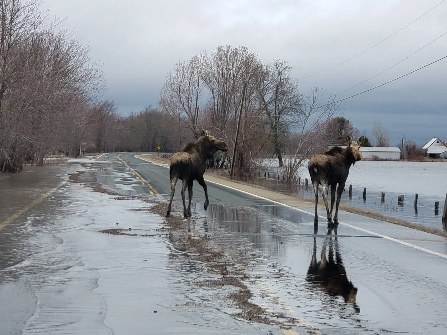 Many Communities Impacted By Rising Water Levels 