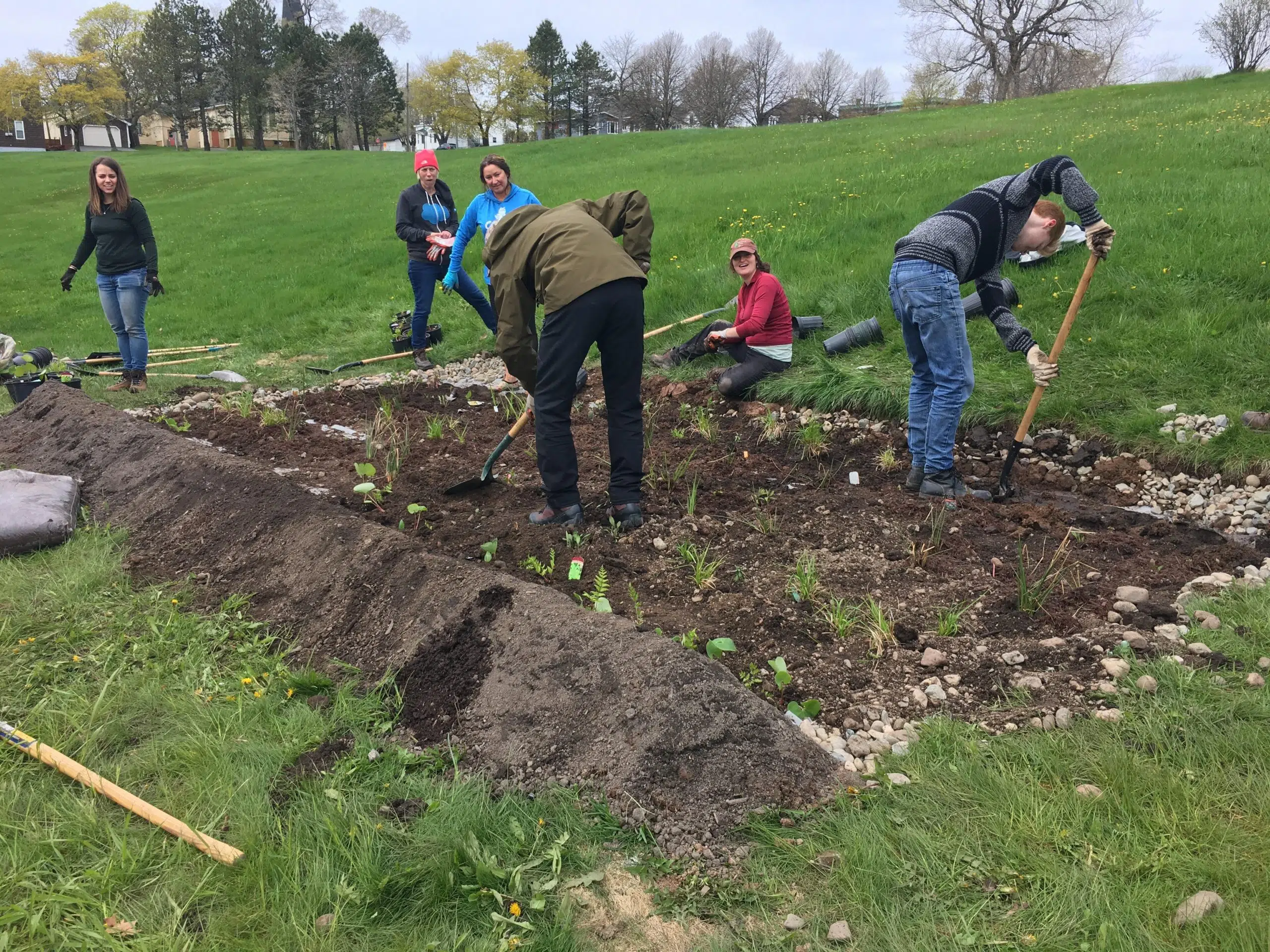 West Side Rain Garden Installed As Part Of Climate Plan 