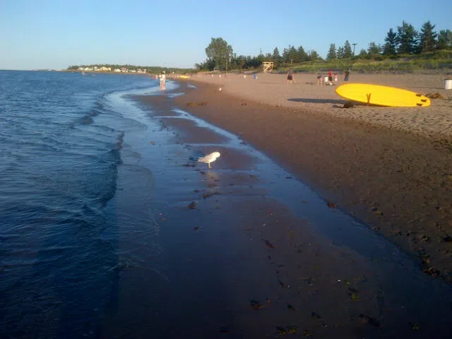 Parlee Beach Awarded Blue Flag