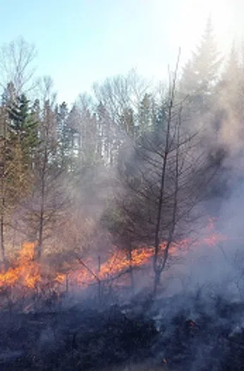 Musquash Fire Department Battles Grass Fire Near A Church