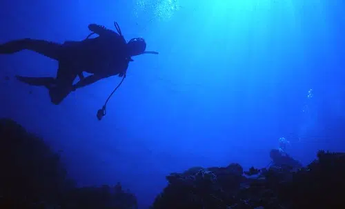 Diver Training In Grand Lake