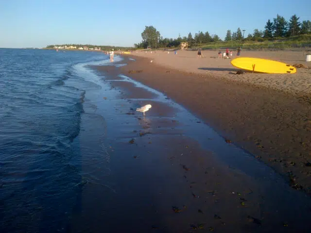 N.B. Beaches, Marina Receive Blue Flag Recognition