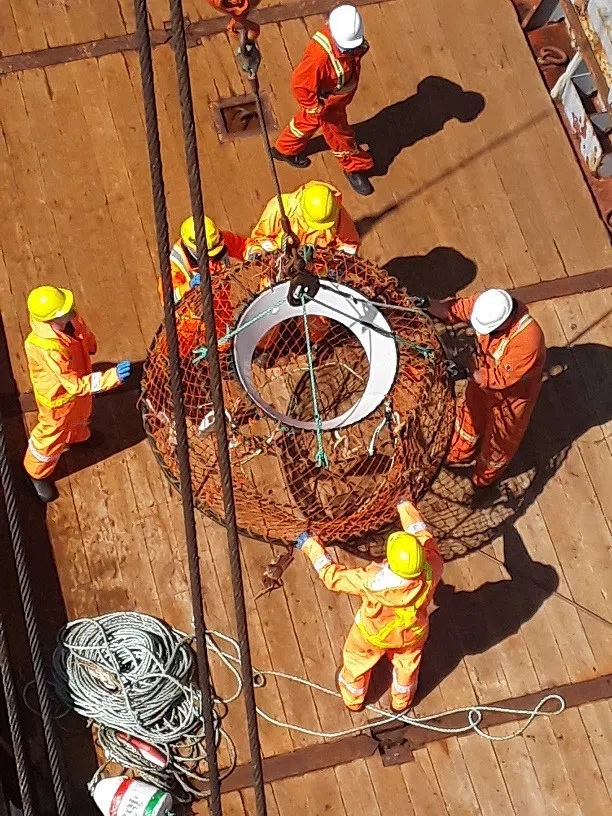 DFO Recovers 'Ghost Gear' In Attempt To Protect Right Whales