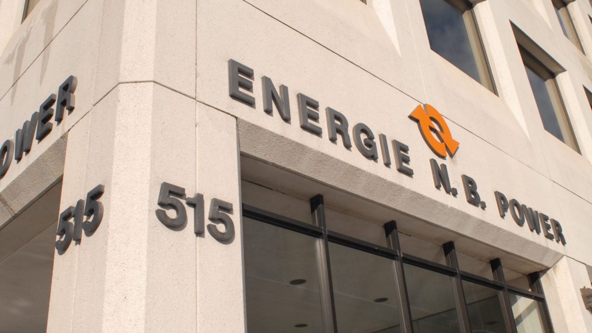 Osprey activities cause Charlotte County power outages - Vimarsana News