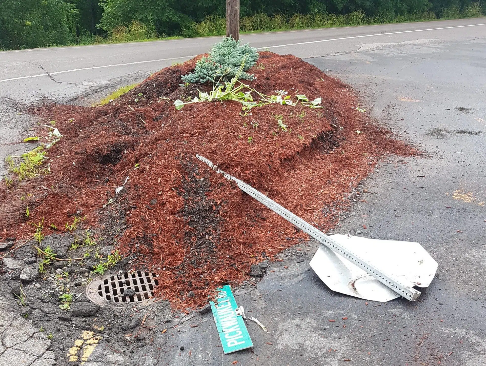 Several Street Signs Damaged In Hampton