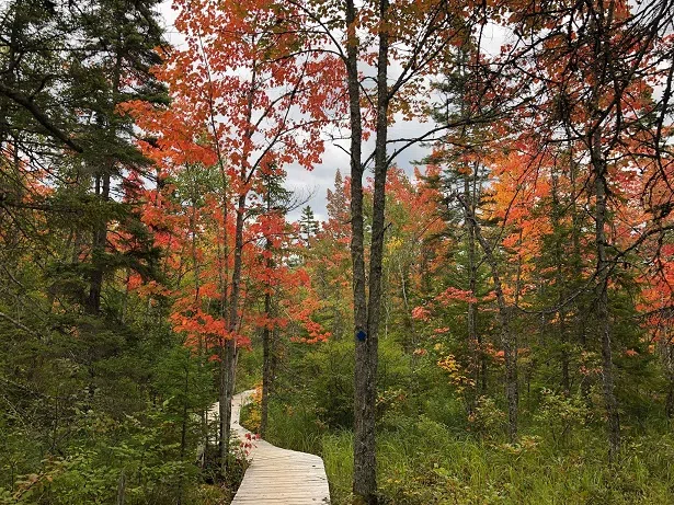 Autumn Starting To Show Its True Colours