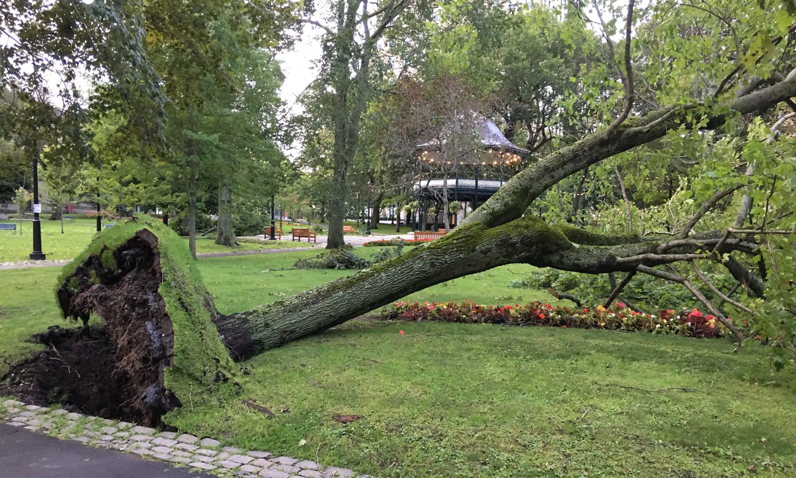 Crews Begin To Clean Up From Dorian