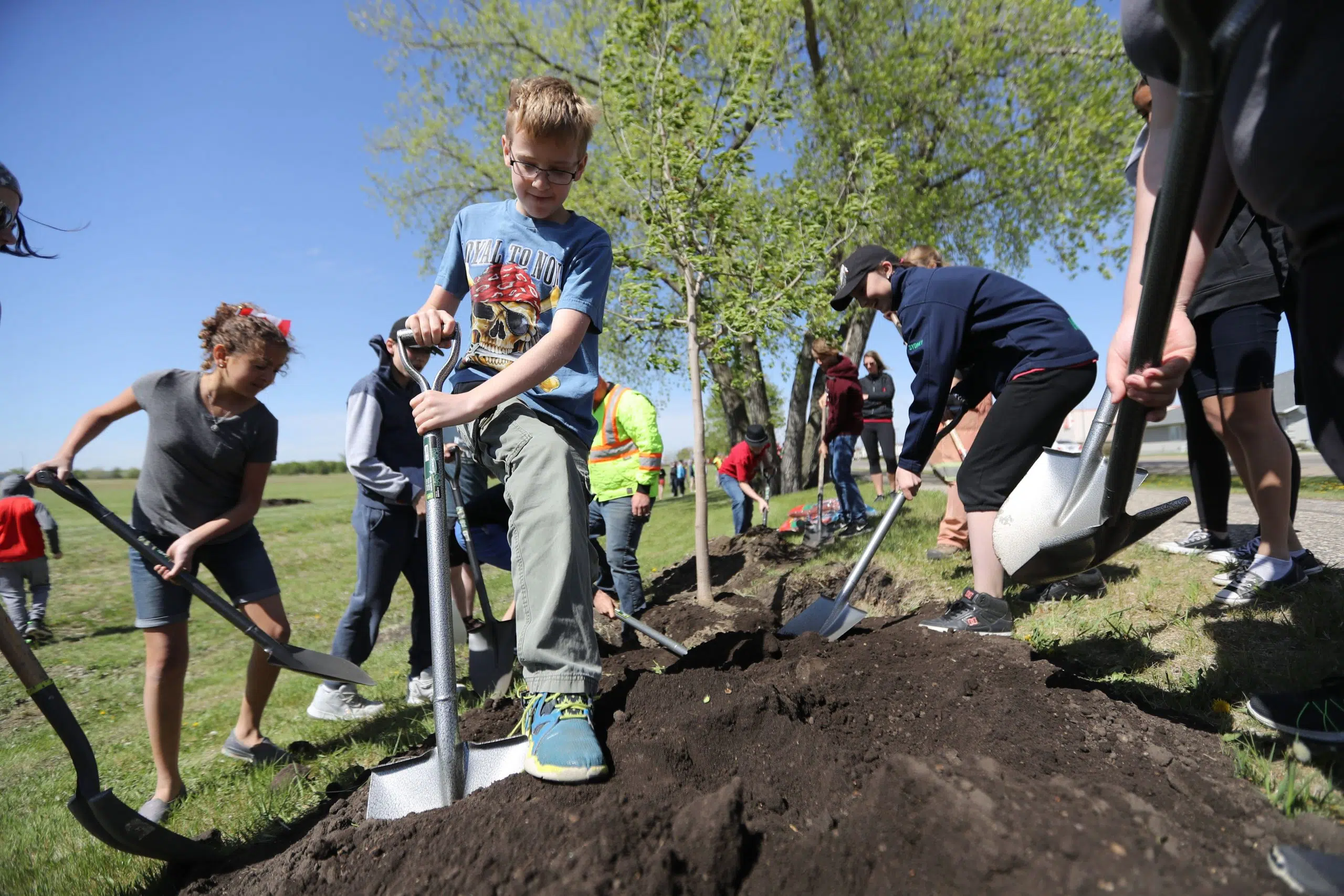 Tree Canada Celebrates The Benefits of Trees