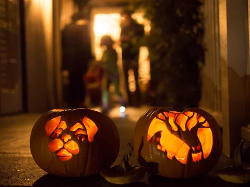 Weather Postpones Trick Or Treating In Several Quebec Communities