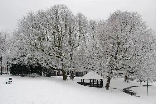 Weather Network Unveils N.B. Winter Forecast