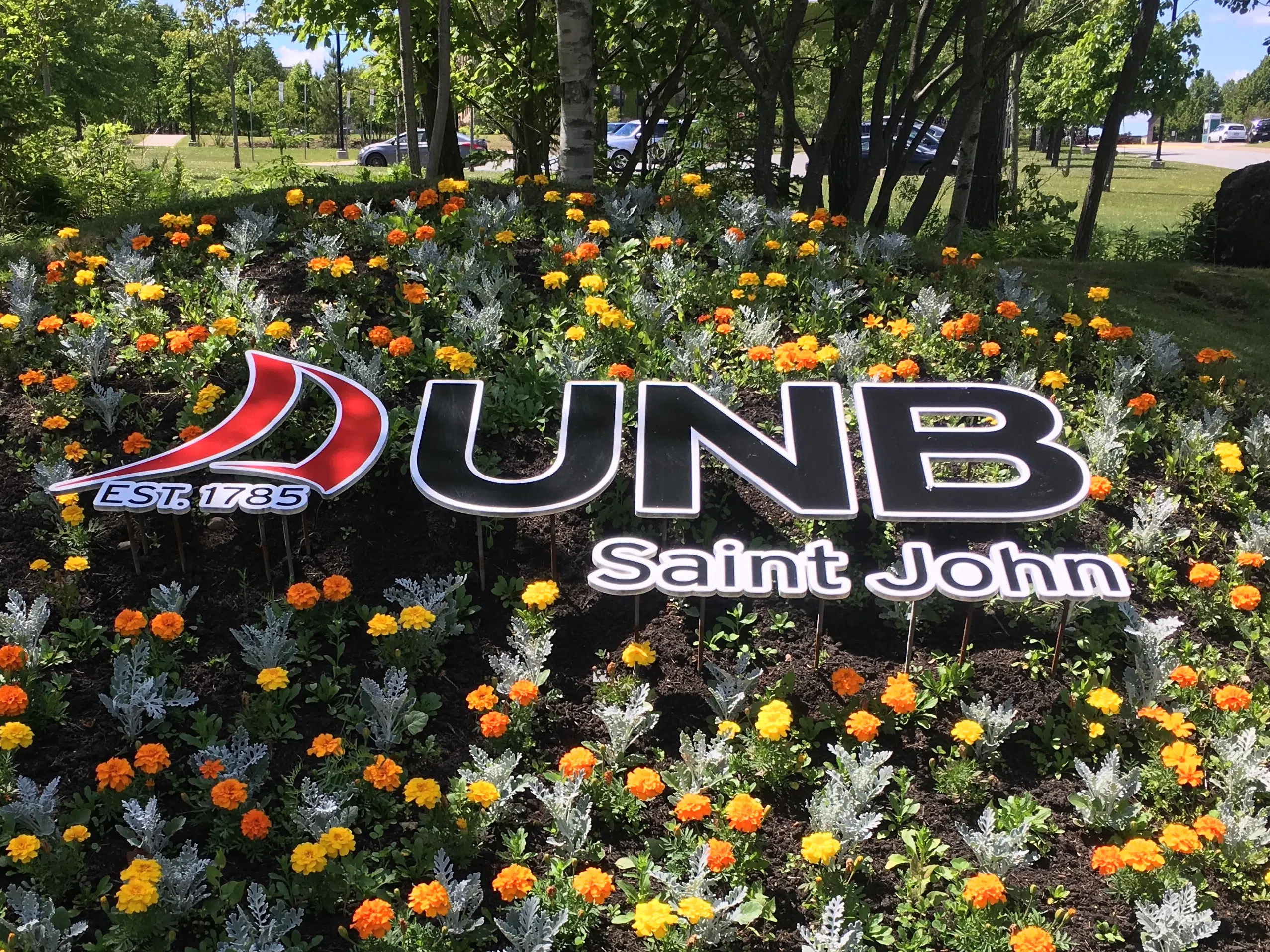 UNB Saint John VP Reflects On 2019