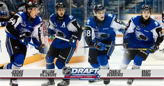 Four Sea Dogs Listed In NHL Midterm Draft Rankings