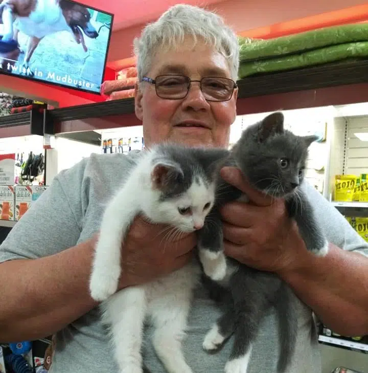 Saint John Man Raises $18K For Stray Cats