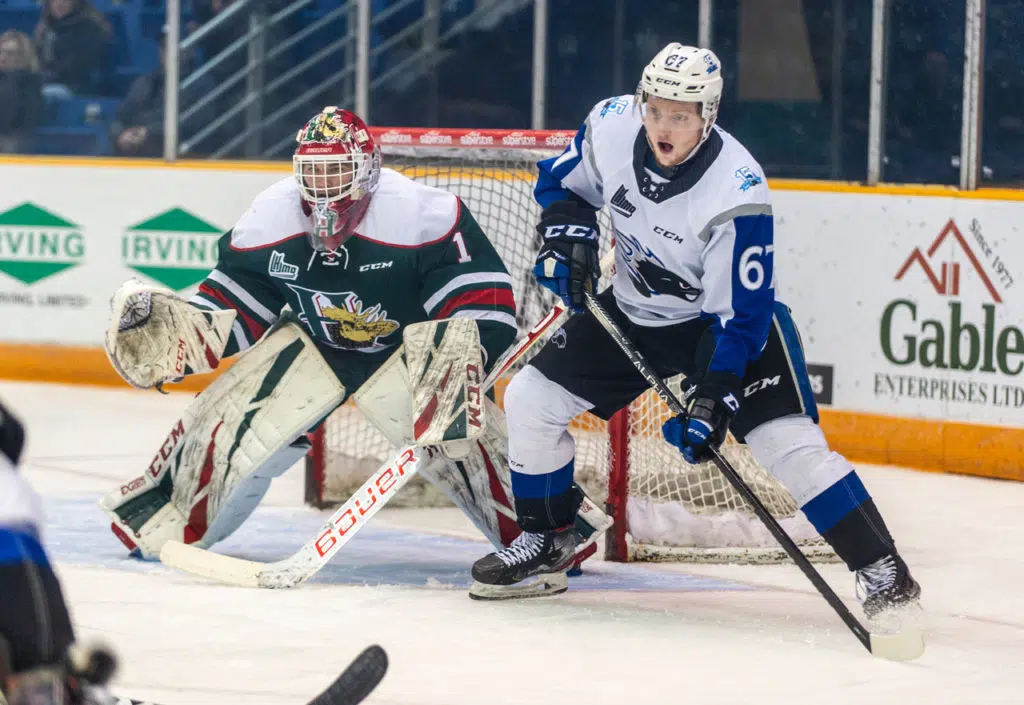 Sea Dogs Cap Off Busy Draft Weekend