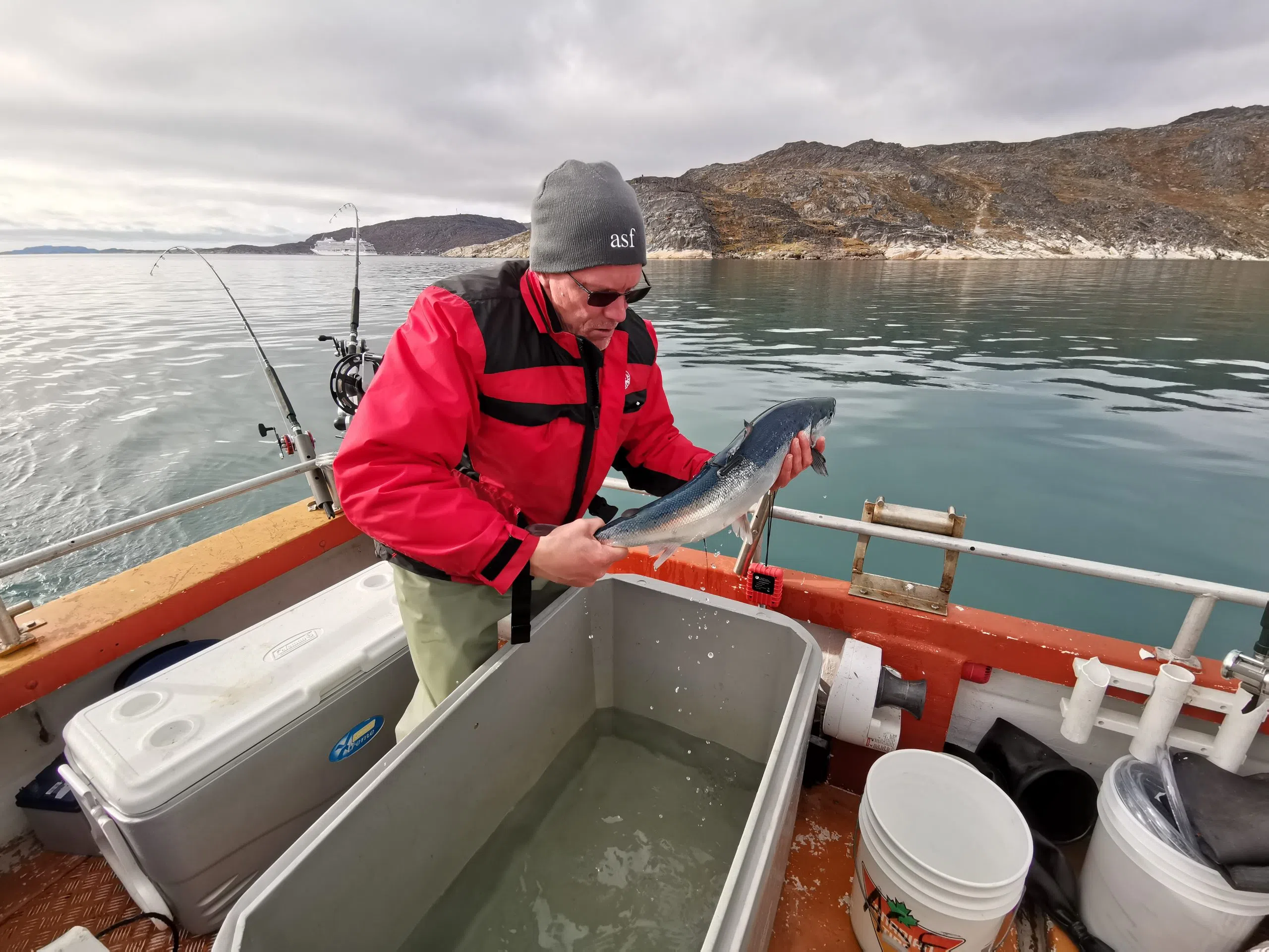 Study Provides New Insights On Atlantic Salmon