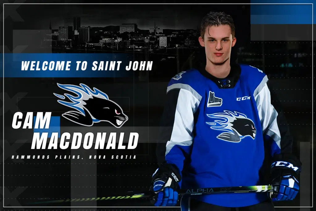 Sea Dogs Sign NCAA-Bound Forward