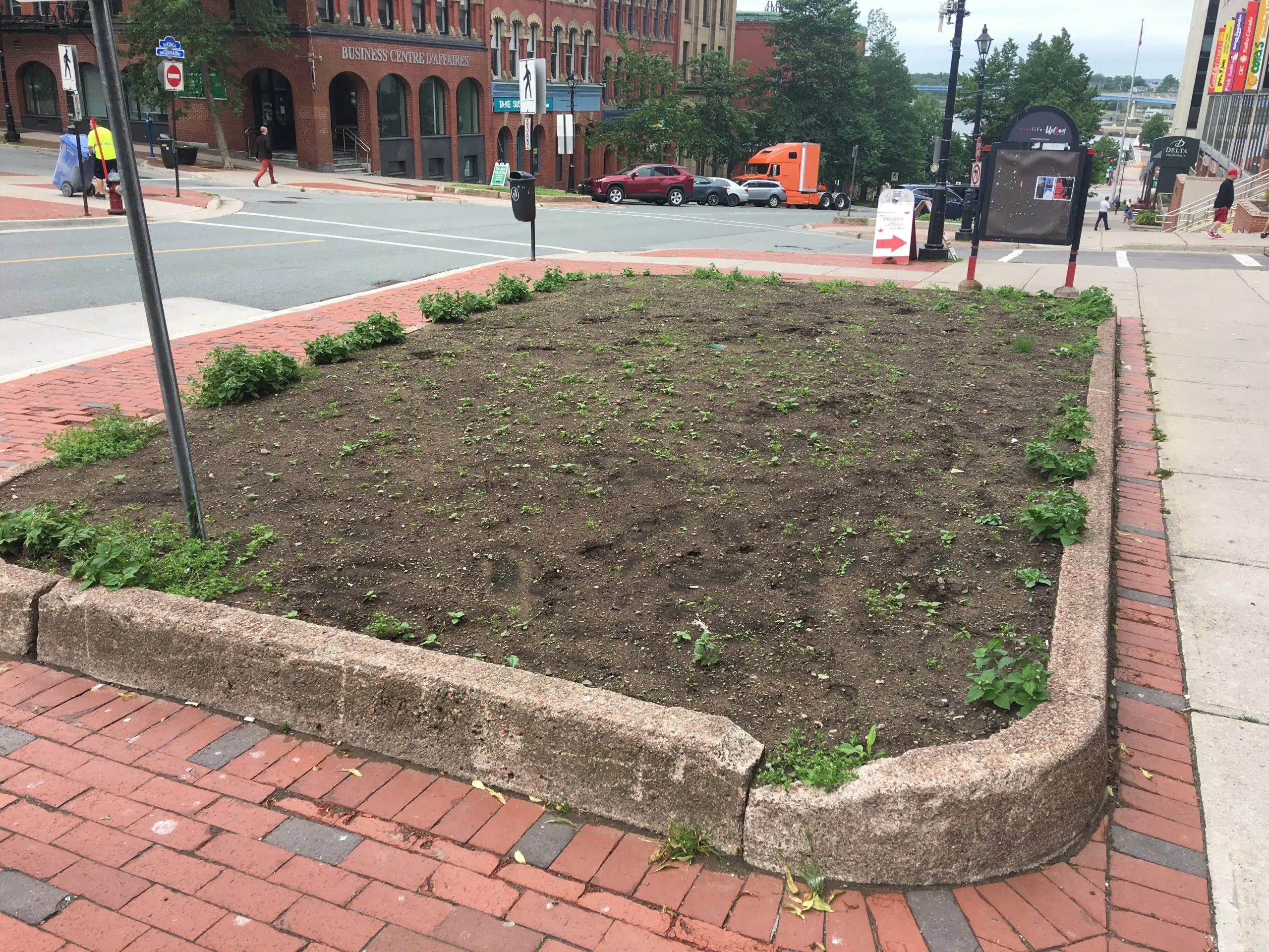 City Flowerbeds Up For Adoption