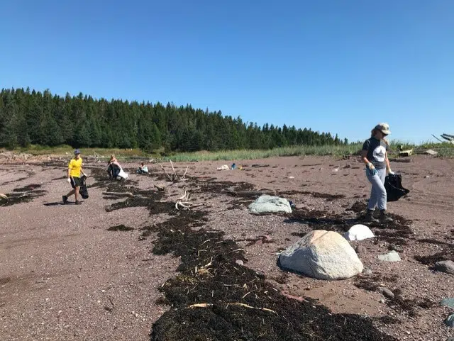 Cleanup Continues With A Bigger Focus