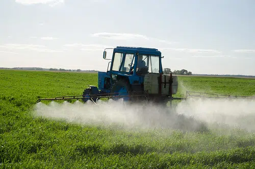 N.B. Farmers Still Need More Workers