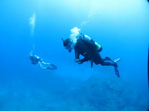 Diver Exercises Near Mill Cove Area Of Grand Lake