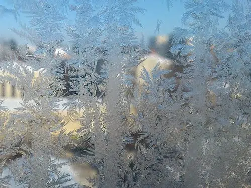 Cold Weather Breaks Temperature Records