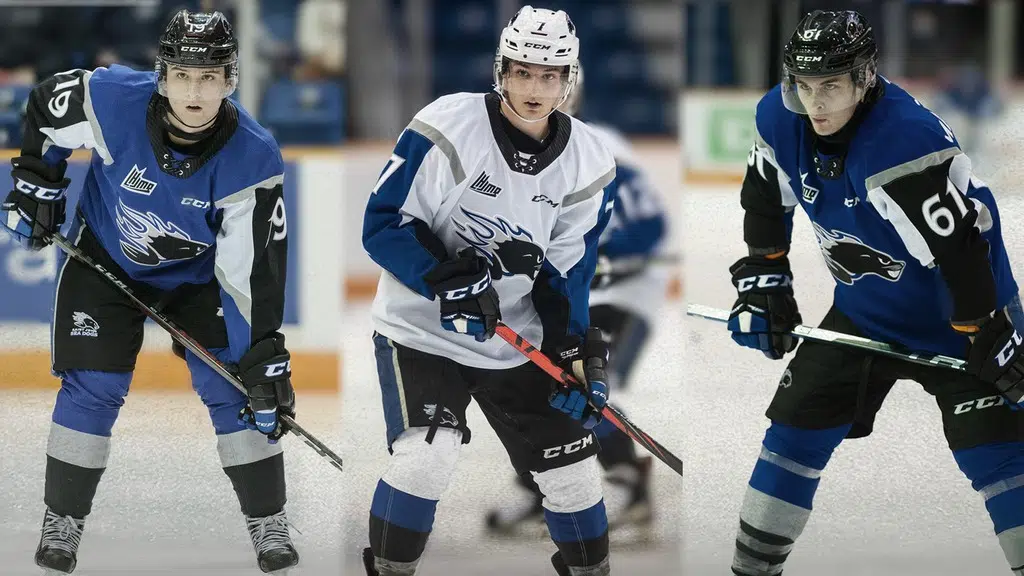 Three Sea Dogs Among NHL Central Scouting's 'Players To Watch'