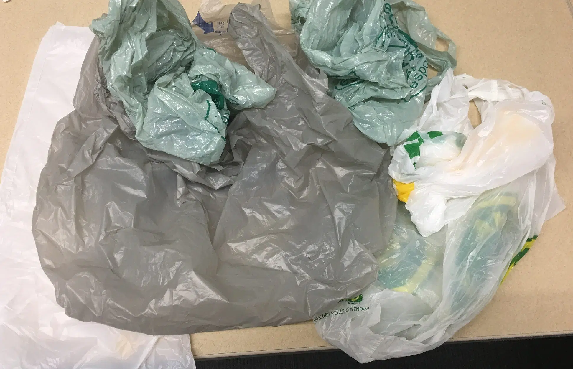 Saint John Region Businesses Support Plastic Bag Ban: Survey